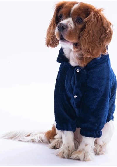 Pawstar Lacivert Jaipur Magic Ceket 2xl