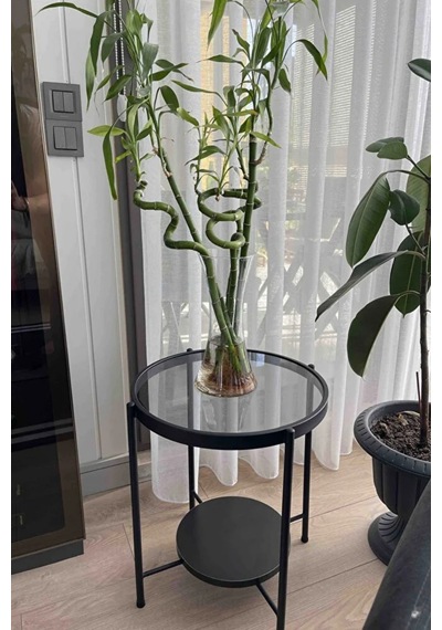 Nordic Yan Sehpa Temperli Cam 40 Cm Demonte Çizilmez Kırılmaz Metal Çerçeve Raflı Minimalist Sehpa - Siyah Siyah