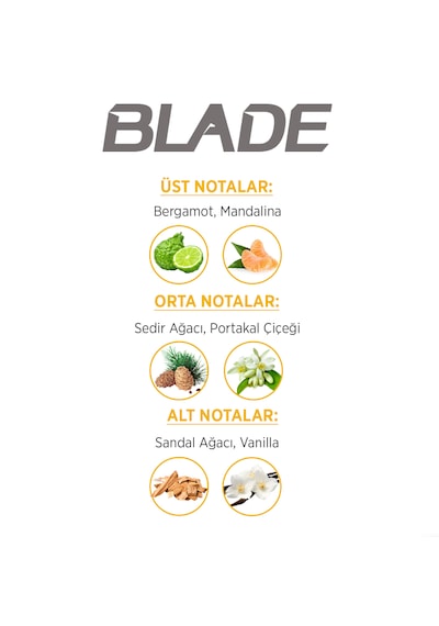 Blade Deep Chill Erkek Parfüm EDT 70 ML + Deep Chill Erkek Sprey Deodorant 3 x 150 ML Blade Deep Chill Erkek Parfüm EDT 70 ML + Deep Chill Erkek Sprey Deodorant 3 x 150 ML