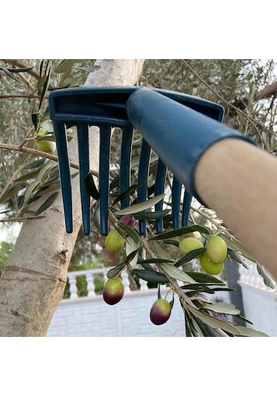 Zeytin Tırmığı + Zeytin Dilme Aparatı + Fırça Sapı + Zeytin Sergeni Zeytin Toplama Tarağı Ve Zeytin Çizme Aleti