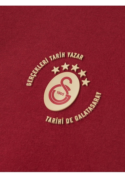 Galatasaray Lisanslı Gerçekleri Tarih Yazar 5 Yıldızlı Bordo T-shirt Aslan Ahşap Kutulu E251392