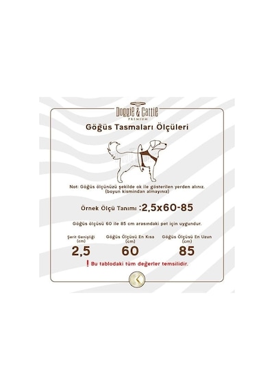 Cattie Havalı Dokuma Kedi Göğüs Ve Gezdirme Takımı Medium Kırmızı 1x25-35 Cm