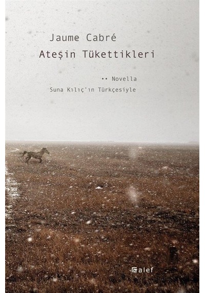 Ateşin Tükettikleri - Jaume Cabre - Alef