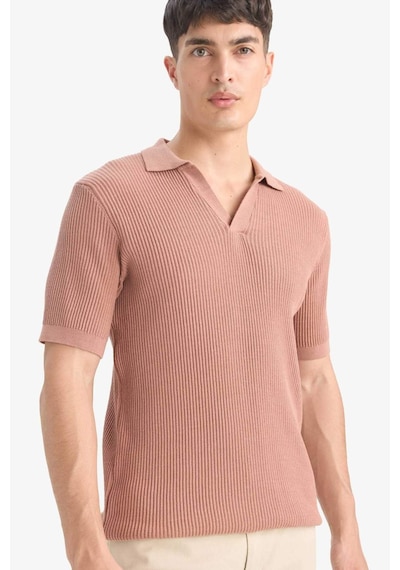 DeFacto %100 Pamuk Standart Fit Polo Yaka Kısa Kollu Triko Tişört E5860AX25SMBN300