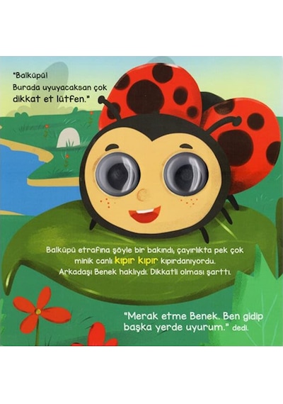2 Yaş Bu Kocaman Gözler Kimin - Ayı Balküpü Ve Sevimli Dostları
