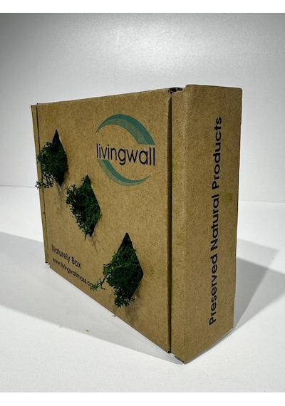Reindermoss Şoklanmış Norveç Yosunu Terarium Yosunu Grass Green Light 100 Gr.