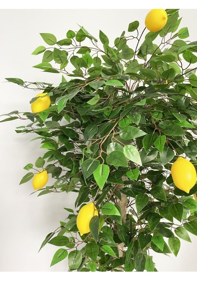 Yapay Limon Ağacı 180Cm Doğal Görünümlü Yapay Ağaç