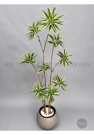 Biçiçek Yapay Dragon Bi̇tki̇si̇ 160 Cm Antresi̇t Mocha Saksıda Alaca Yaprak