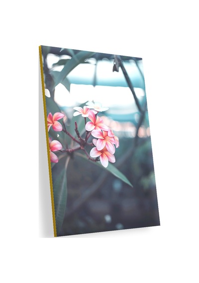 Cakasepetim Pembe Plumeria Çiçekleri Flu Arkaplan Ahşap Mdf Tablo