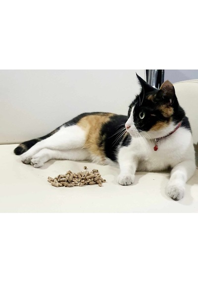 Duo Kedi Kumu Karaçam Peleti 10 L