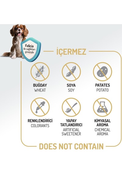 Az Tahıllı 3 Kg Yetişkin Kuzulu M/large Breed Hypoallergenic Köpek Maması