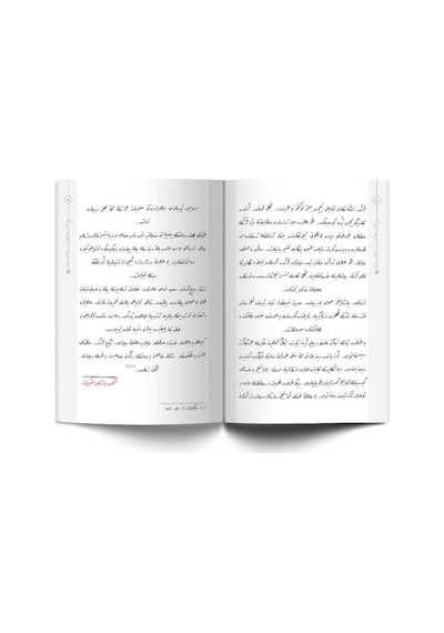 Bediüzzaman Hz. ve Risalei Nur Hizmeti (Osmanlıca) 9786054026500