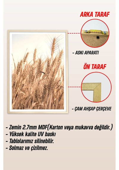 Ahşap Çerçeveli Mdf Tek Tablo Tarla Ve Hasat Serisi Kendi Tablo Setinizi Oluşturacağınız Liste 32 X 42 Çerçeveli 1041 Ahşap Çerçeveli Mdf Tek Tablo Tarla Ve Hasat Serisi Kendi Tablo Setinizi Oluşturacağınız Liste 32 X 42 Çerçeveli 1041