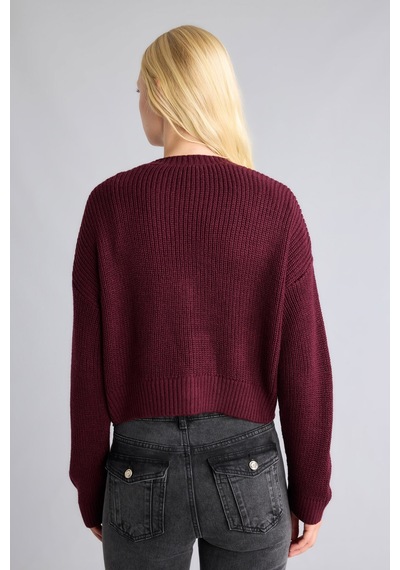 Defacto Regular Fit V Yaka Basic Düz Düğme Kapamalı Triko Hırka U2052az26wnbr452 Bordo-br452 Defacto Regular Fit V Yaka Basic Düz Düğme Kapamalı Triko Hırka U2052az26wnbr452 Bordo-br452