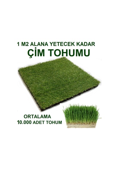 Kedi Çimi Tohumu Ortalama 10.000 Adet