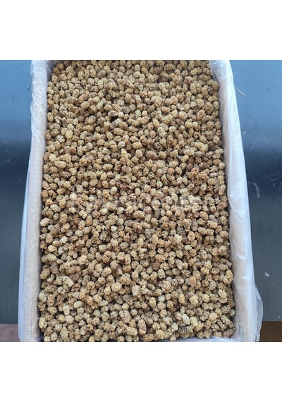 Toptan Özel Beyaz Dut Kurusu 11.5 Kg Diğer