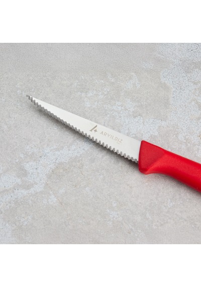 Aryıldız Rexa Tırtıklı Sebze Bıçak Kırmızı 10 Cm Renkli