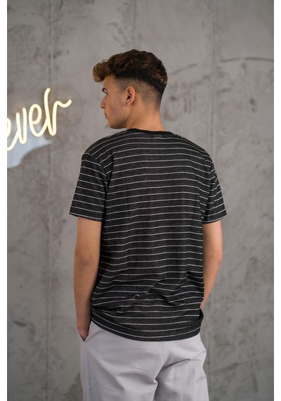 Reguler Fit Bisiklet Yaka Likralı Çizgili Erkek Yazlık T-shirt 001