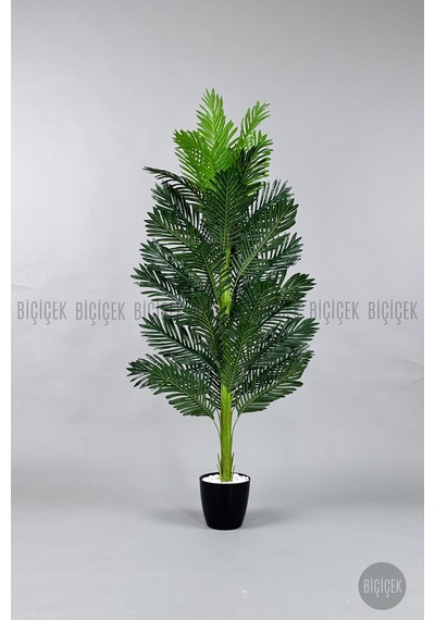 Yapay Areka Ağacı 160-180 Cm Bey