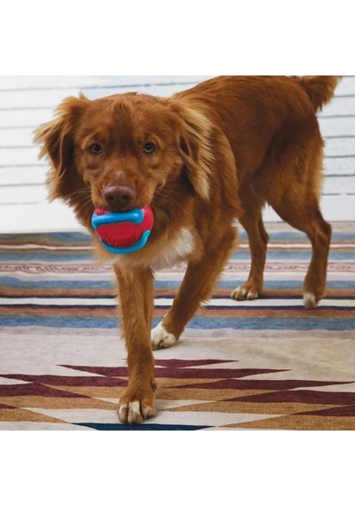 Kong Jaxx Brights Sandviç Şeklinde Köpek Oyuncağı Medium