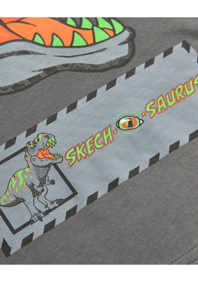 Skechers Graphic Tee B Short Sleeve Büyük Erkek Çocuk Gri Tshirt Sk241093-035