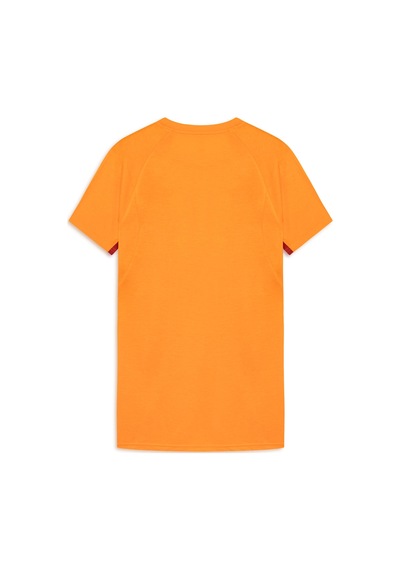 Puma Galatasaray Evostrıpe Erkek Tişört 782906 06 Turuncu