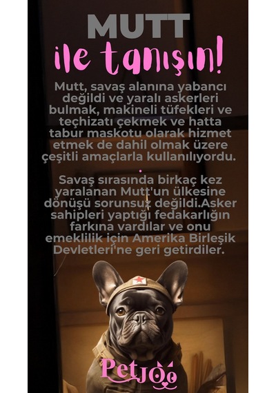 Petjoo 10.Mutt Pembe-Gri Qr'lı Köpek Künyesi