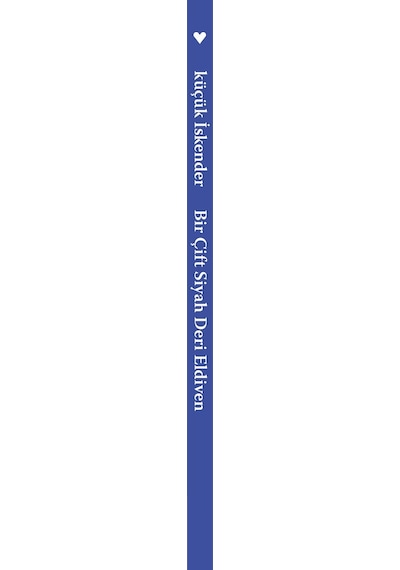 Bir Çift Siyah Deri Eldiven (551517996)