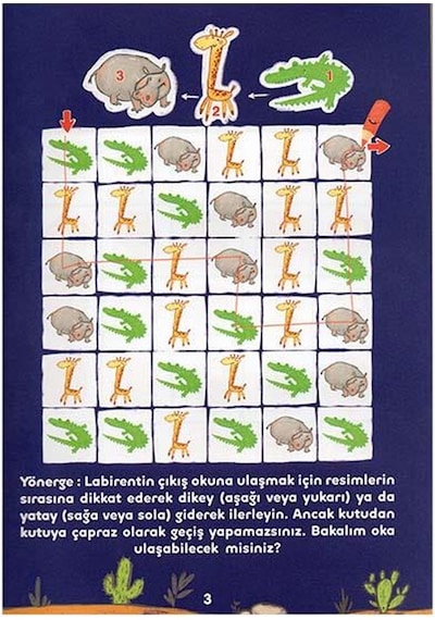 Dikkat ve Düşünme Becerileri - Mantıksal Diziler - Berkay Dinç Çakır - Eolo