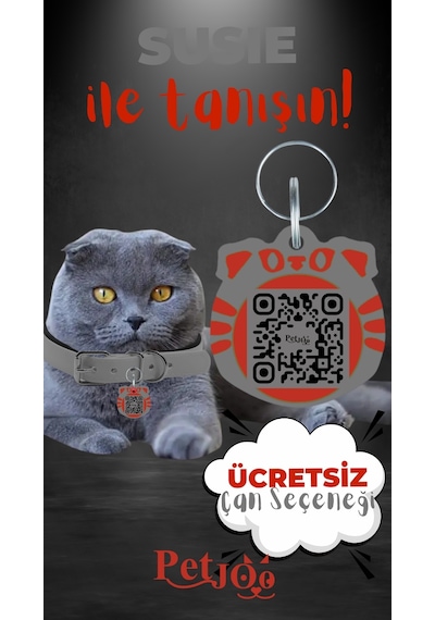 Petjoo 3.Susie Kırmızı-Gri Qr'lı Kedi Künyesi