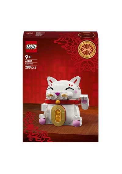 Şanslı Kedi 40813