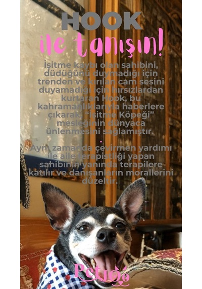 Petjoo 7.Hook Pembe-Gri Qr'lı Köpek Künyesi