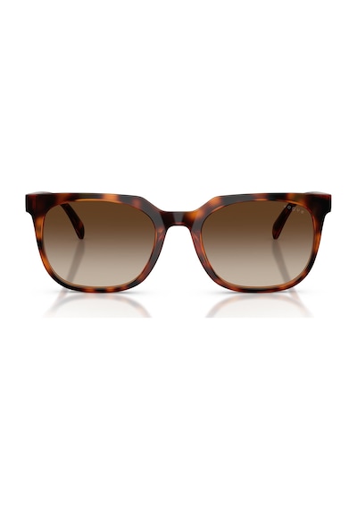 Vogue V05715sı W65613 54 Erkek Güneş Gözlüğü Kahverengi