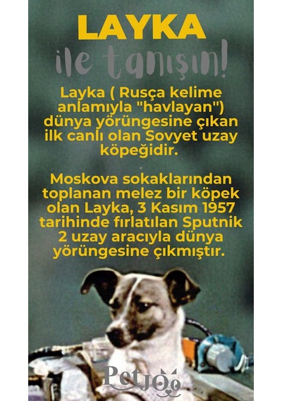 Petjoo 22.Layka Gri-Sarı Qr'lı Köpek Künyesi
