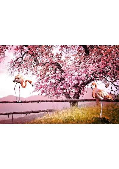 Pembe Yapraklar Ve Flamingolar Duvar Kağıdı