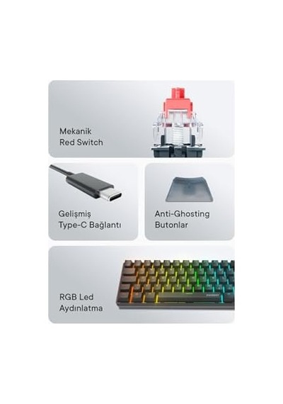 Amber Type-c Bağlantılı Rgb Ledli Mekanik Gaming Oyuncu Klavye Q Red Switch