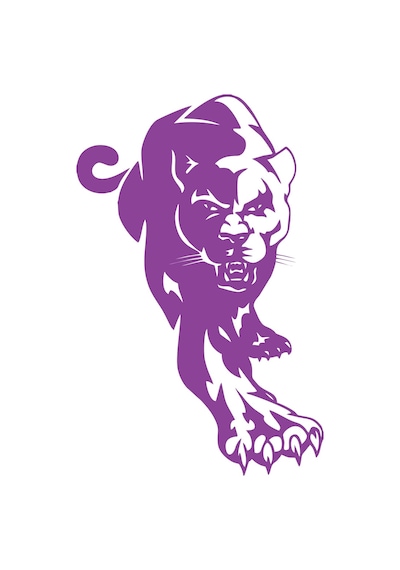 Panter Araba Sticker 17x17 Cm Mor