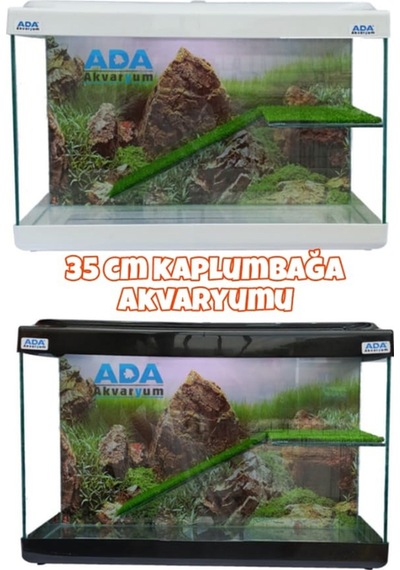 Ada Akvaryum Su Kaplumbağası Akvaryumu Bahçeli Rampalı Dinlenme 35x25x15 Cm Arka Plan Hediyeli