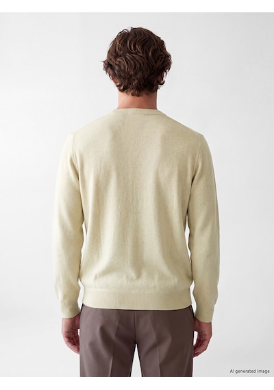 Lcw Vision Sarı Regular Fit Erkek Triko Kazak