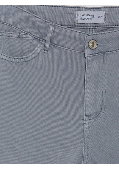Lcw Jeans Mavi Regular Fit Erkek Jean Şort