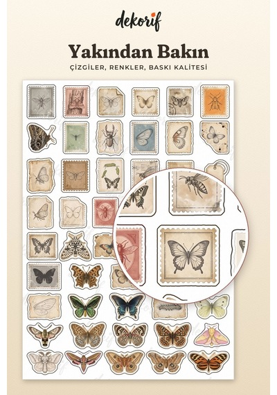 Kelebek Ve Güve Sticker Seti 100 Adet - Doğa Tarihi Antika Böcek Vintage Ajanda Journal Çıkartma Çok Renkli