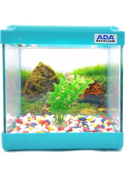 Ada Akvaryum Mini Akvaryum Seti Mavi 20 x 20 x 15 CM