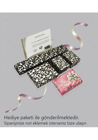 Pılanta Model Halka Tektaş Gümüş Kadın Küpe 9 Mm Gümüş