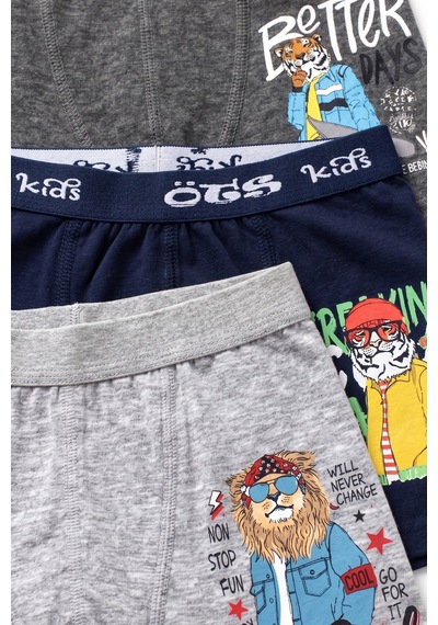 Öts Erkek Çocuk 3 Lü Pamuklu Boxer Baskılı Günlük Klasik Model 7386-3 Renkli