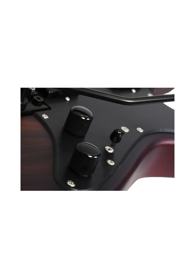 Schecter Sun Valley Super Shredder Exotic Fr Ziricote Elektro Gitar Natural Satin 104081229919