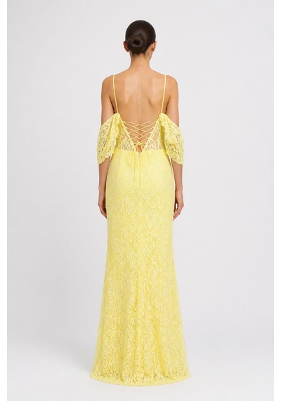 Hot Contact Kadın Askılı Full Dantel Balık Form Abiye Elbise 5358 Sarı