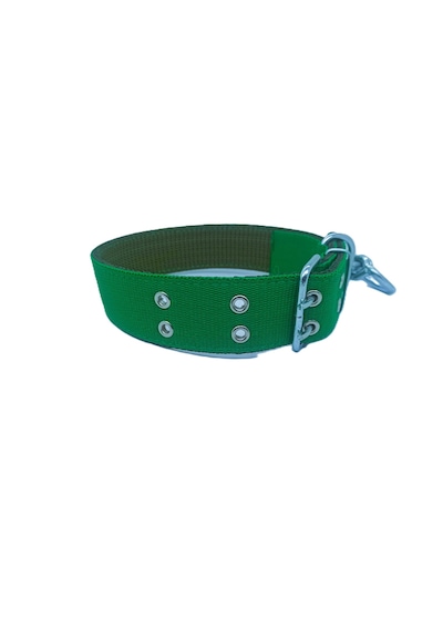 İri Ve Büyük Cinsler İçin Kanğal Köpek Tasması 80x5 Cm Yeşil