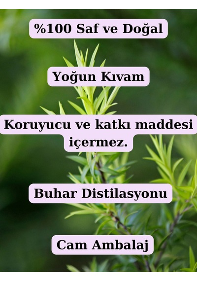 Çay Ağacı Hidrosolü 100ml- %100 Doğal Çay Ağacı Suyu