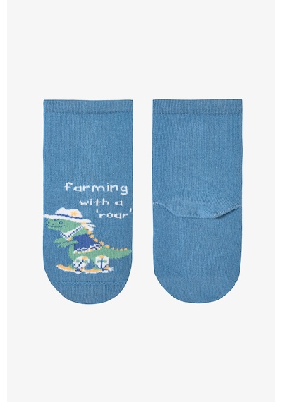 Penti Erkek Çocuk Dino Farm Dinozor Desenli 4'lü Soket Çorap