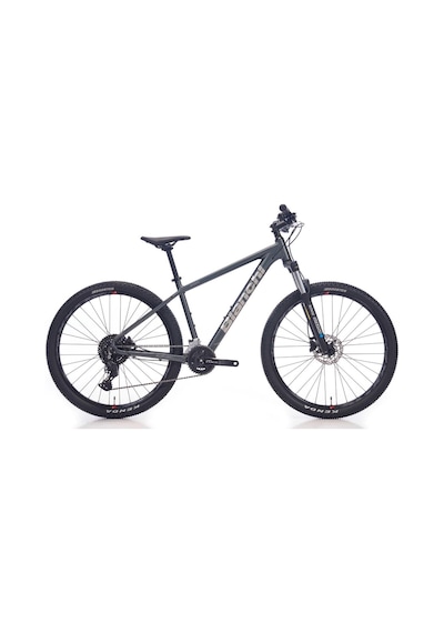 Bianchi Magma 27s Cues 2x9 Vites 43cm 27.5 Jant Koyu Gri Parlak Gümüş Mtb Dağ Bisikleti Gri